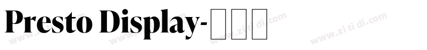 Presto Display字体转换 Presto Display字体转换